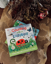 Load image into Gallery viewer, Counting/ Colors with Ladybird (Board book)