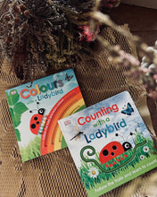 Load image into Gallery viewer, Counting/ Colors with Ladybird (Board book)