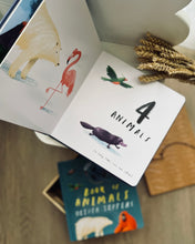 Load image into Gallery viewer, Here We Are: Book of Animals & Book of Numbers (by Oliver Jeffers)