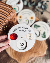 Load image into Gallery viewer, Wooden Lifecycle Discs (set of 4)