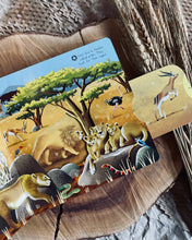 Load image into Gallery viewer, First Explorers Series (6 Titles)