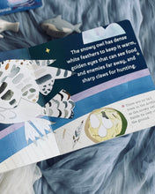 Load image into Gallery viewer, Hello, World! Series by Jill McDonald (8 Titles)