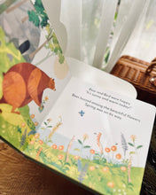 Load image into Gallery viewer, Johnny Lambert's Bear and Bird Series (4 Titles)