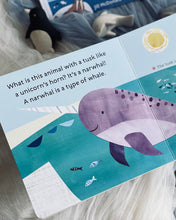 Load image into Gallery viewer, Hello, World! Series by Jill McDonald (8 Titles)