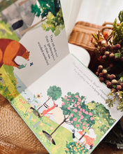 Load image into Gallery viewer, Johnny Lambert's Bear and Bird Series (4 Titles)