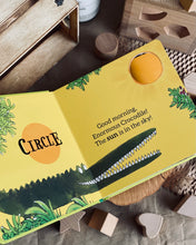 Load image into Gallery viewer, Roald Dahl Early Learner Series (ABC / 123 / Colours / Shapes/ Opposites)