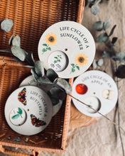 Load image into Gallery viewer, Wooden Lifecycle Discs (set of 4)