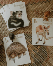 Load image into Gallery viewer, Modern Monty Animal Alphabet Flash Cards (2 Types)