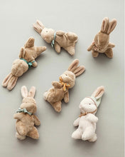 Load image into Gallery viewer, My Little Bunny Soft Toy