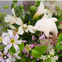 Load image into Gallery viewer, Polepole Monochrome Animals (17 Options)