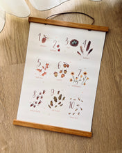 Load image into Gallery viewer, Educational A3 Posters (5 Modern Designs)