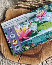 Load image into Gallery viewer, First Explorers Series (6 Titles)