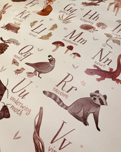 Load image into Gallery viewer, Educational A3 Posters (5 Modern Designs)