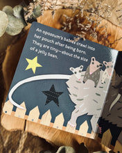 Load image into Gallery viewer, Hello, World! Series by Jill McDonald (8 Titles)