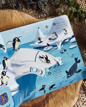 Load image into Gallery viewer, First Explorers Series (6 Titles)