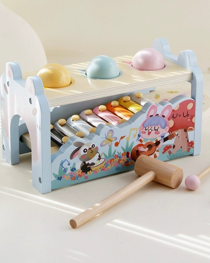 *New* 2-1 Baby Xylophone & Pound Toy
