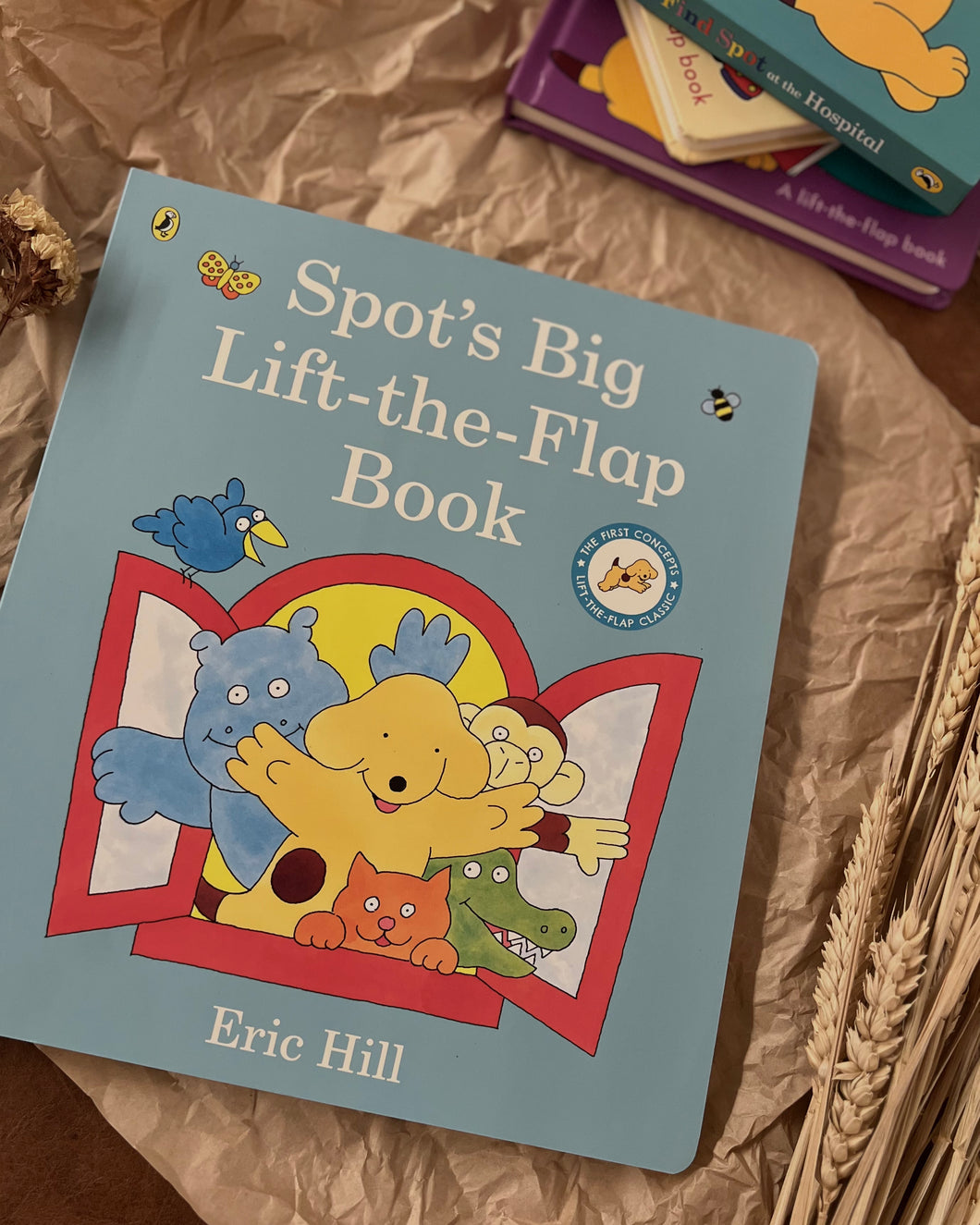 *New* Spot’s Big Lift-the-flap Book