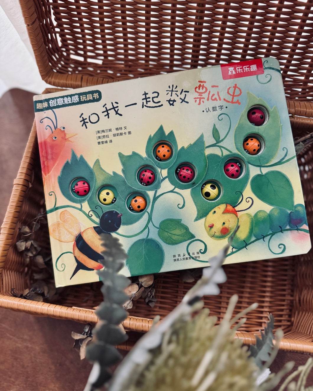 Interactive Counting Storybooks 绘本触摸书：和我一起数星星 ⭐️ / 瓢虫🐞