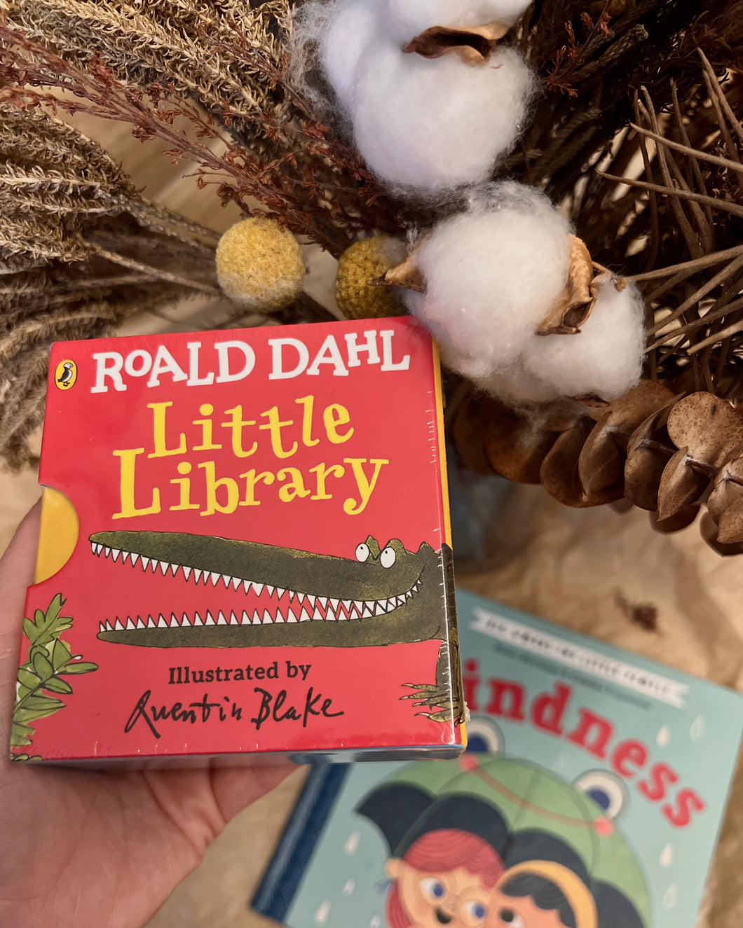 *New* Roald Dahl Little Library