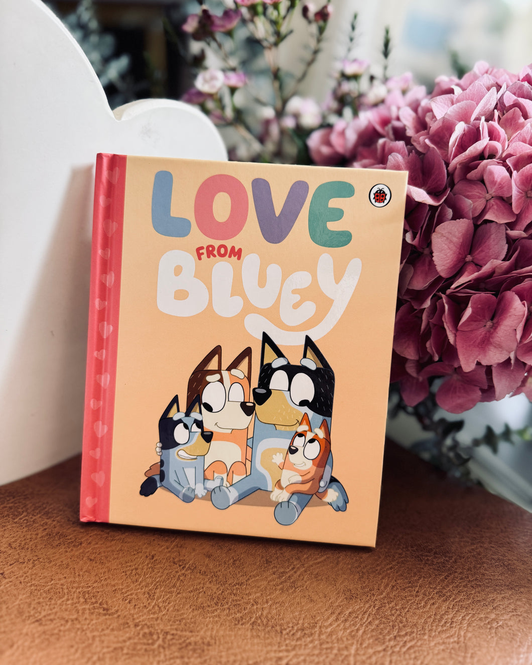 *New* Love from Bluey