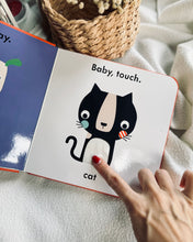 Load image into Gallery viewer, *New* Baby touch Learning (3 titles)
