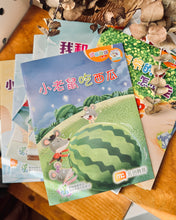 Load image into Gallery viewer, *New* P1B - Chinese Language / Higher Chinese Supplementary Readers for Primary Schools P1A &amp; P1B 和书一起飞小图书系列 (全套14本）
