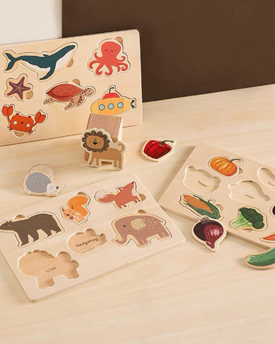 *New* Wooden Puzzles (Set of 3)