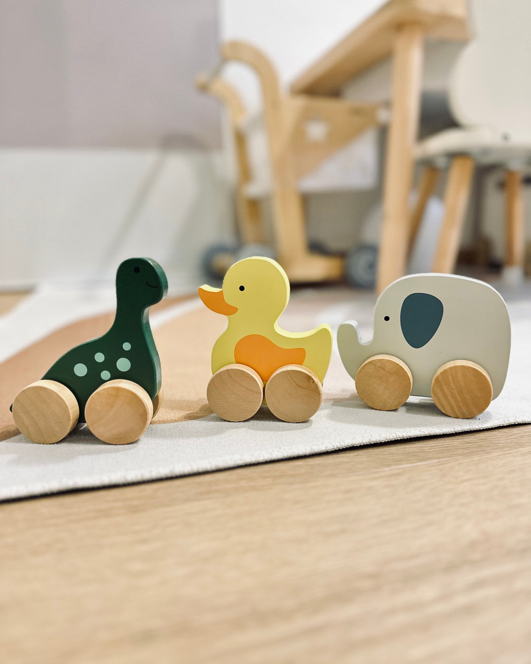 Animal Push Toys on Wheels (3 types)