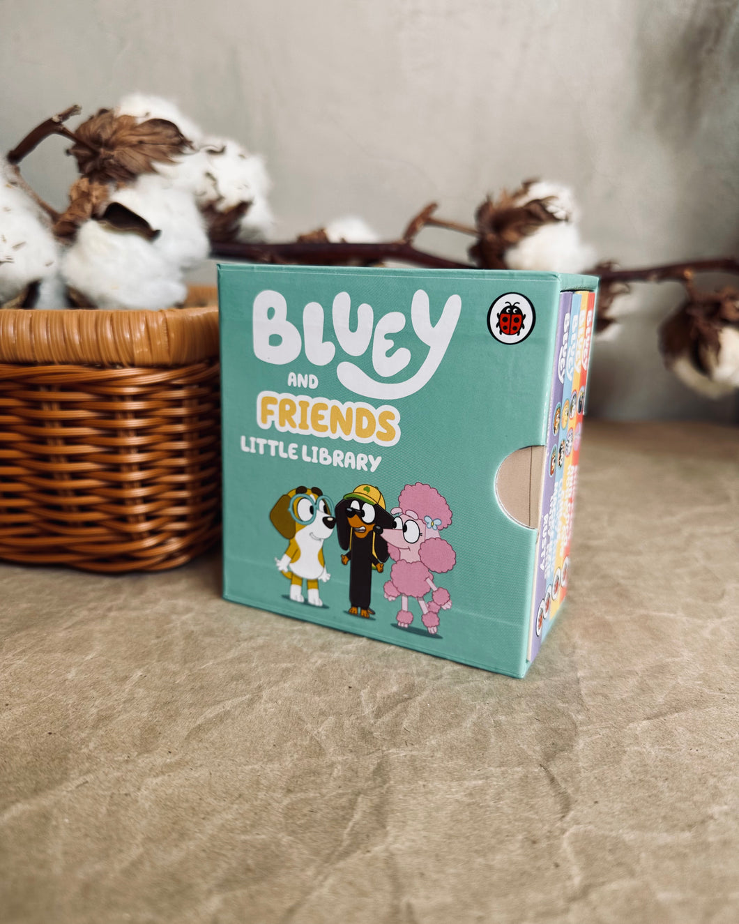*New* Bluey and Friends: Little Library