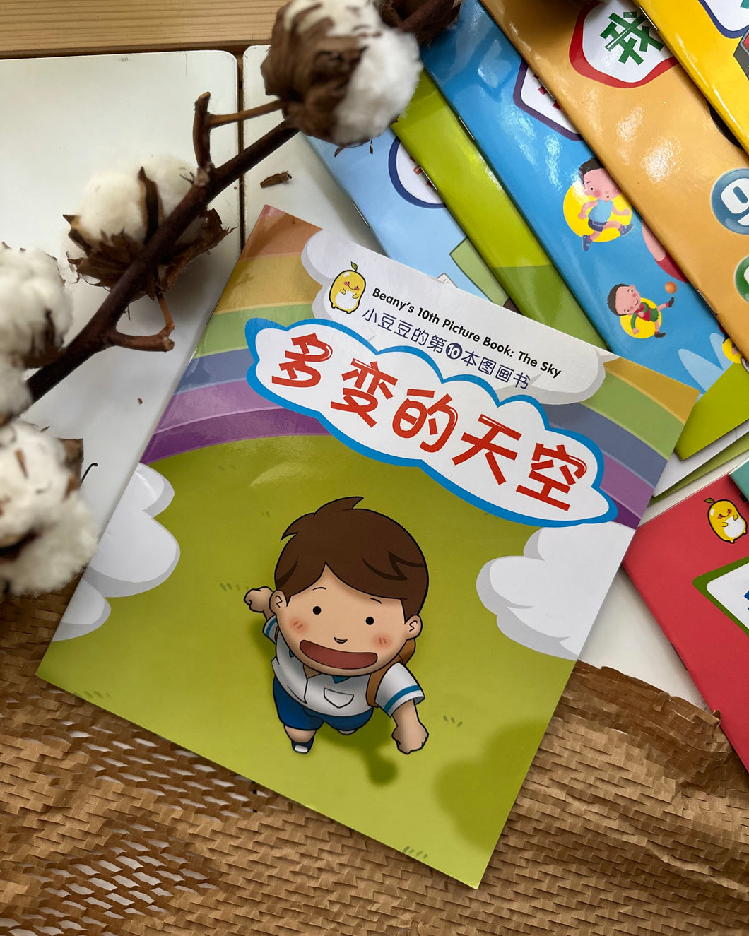 *Restock* Beany Picture Book Series 小豆豆图画书系列 ~ 10 Titles
