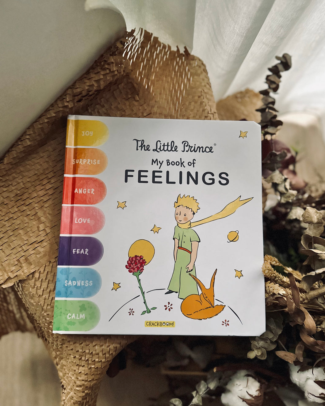 *NEW* The Little Prince: My Book of Feelings
