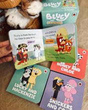 Load image into Gallery viewer, *New* Bluey and Friends: Little Library
