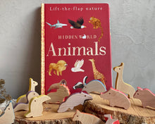 Load image into Gallery viewer, Hidden World Animals Book
