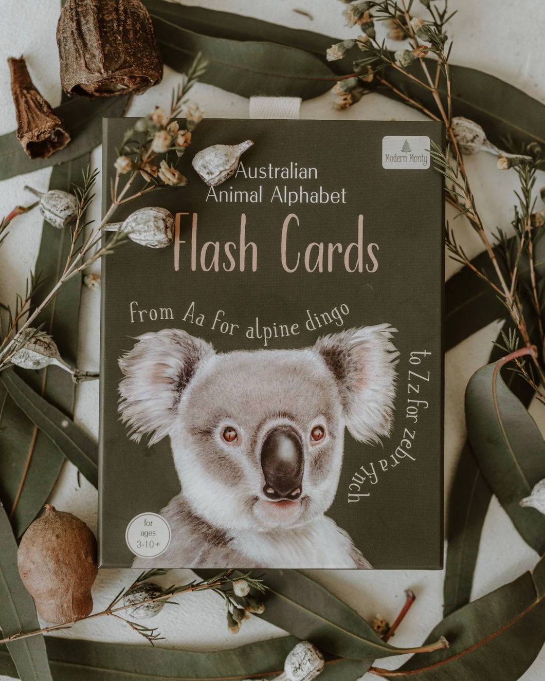 Modern Monty Animal Alphabet Flash Cards (2 Types)