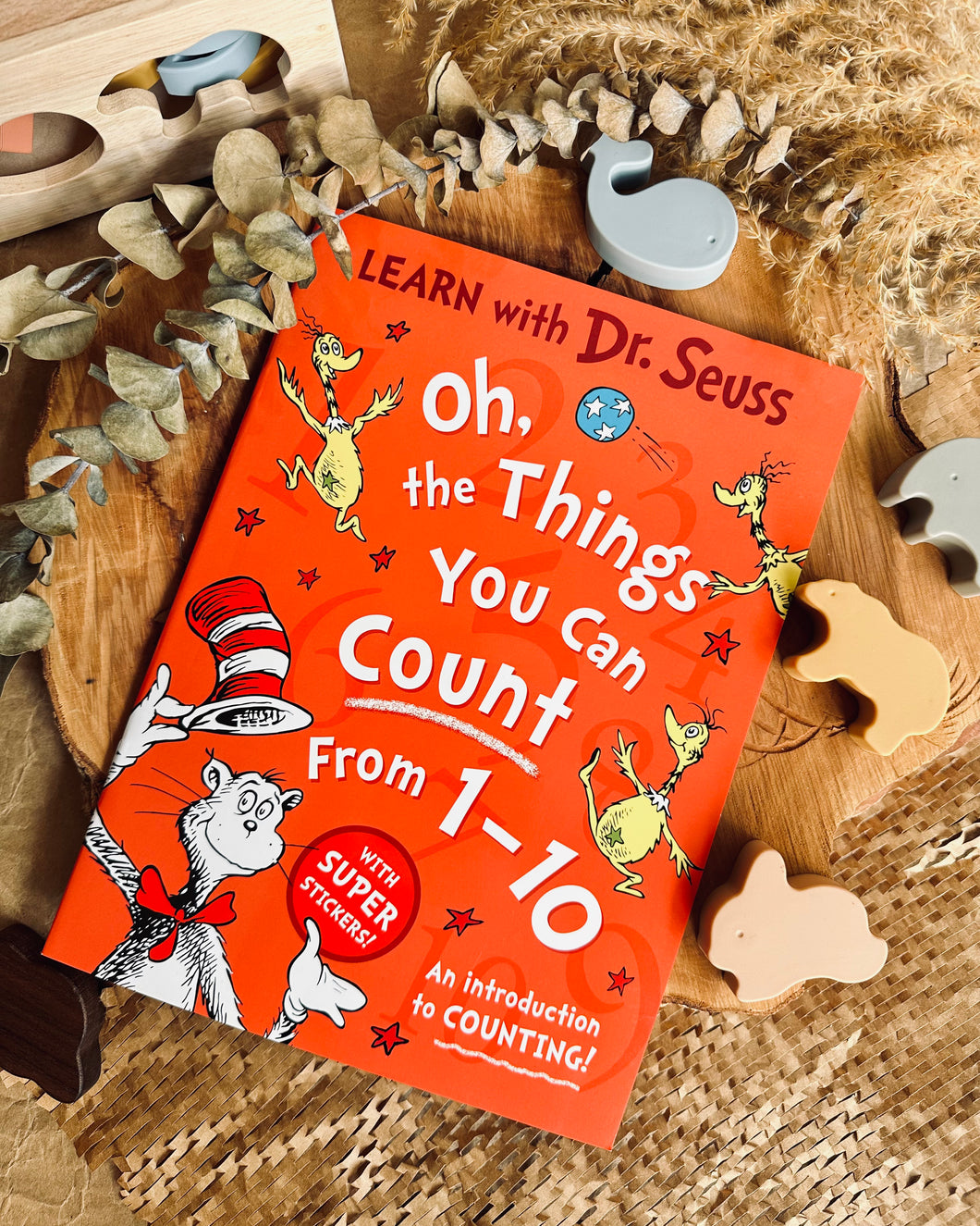 Learn with Dr Suess (2 Titles)
