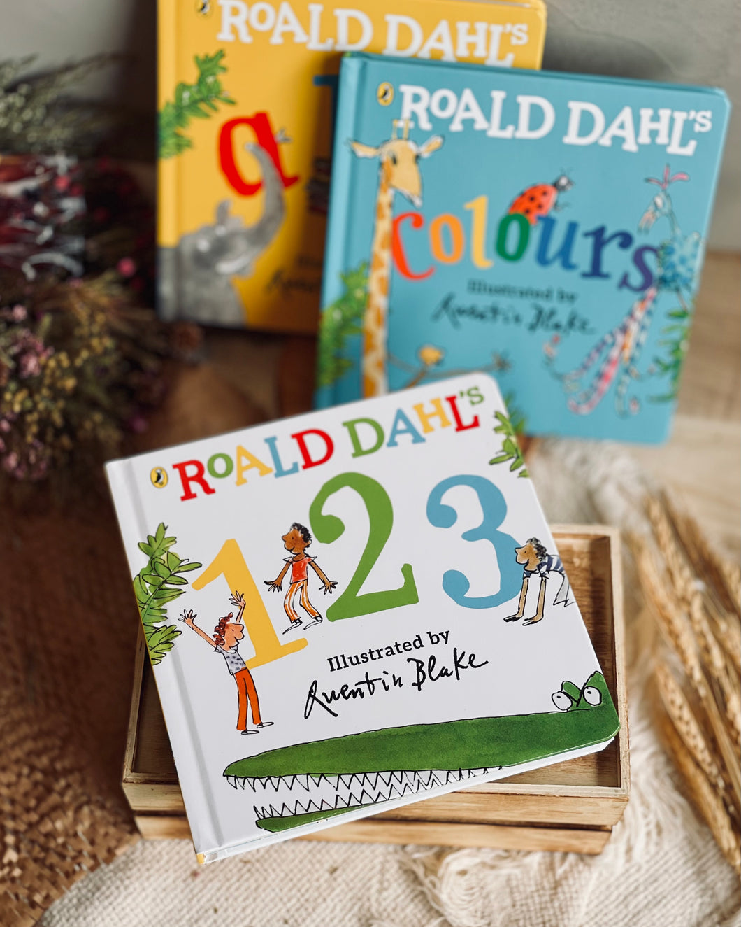 Roald Dahl Early Learner Series (ABC / 123 / Colours / Shapes/ Opposites)