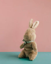 Load image into Gallery viewer, My Little Bunny Soft Toy
