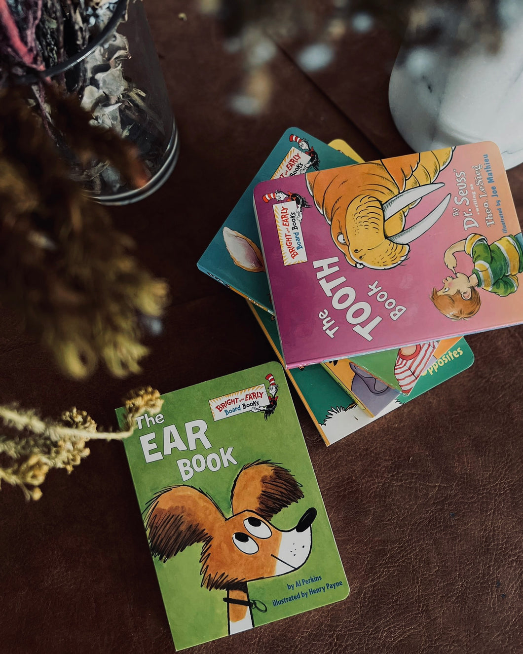 Dr Suess Collection II ~ Body Parts (Ear, Eye, Nose, Tooth)