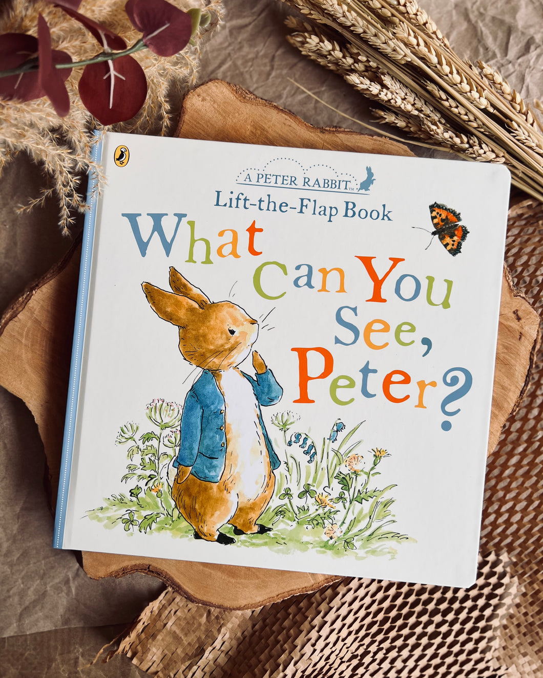 Peter Rabbit: What Can You See Peter? A Lift-the-flap book