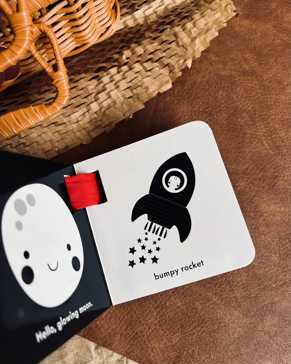 Baby Touch A blackandwhite buggy book Lost In The Woods