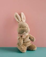 Load image into Gallery viewer, My Little Bunny Soft Toy
