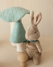 Load image into Gallery viewer, My Little Bunny Soft Toy
