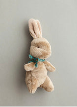 Load image into Gallery viewer, My Little Bunny Soft Toy
