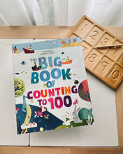 Load image into Gallery viewer, The Big Book Of ABC/ Colours/ Counting to 100 / First Words (Board Book)
